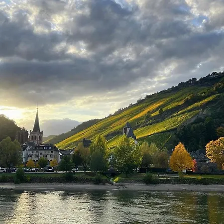 Bacchus Homes Apartment Bacharach