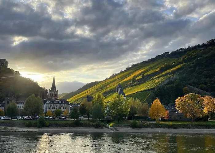 Bacchus Homes Apartment Bacharach