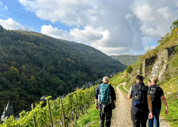 Apartment Bacchus Homes Bacharach